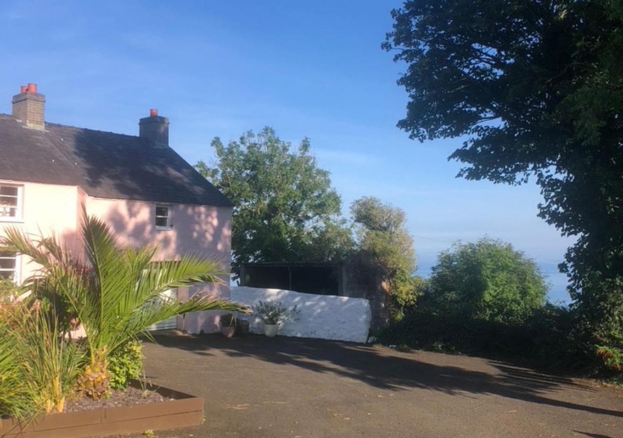 The Pink Cottage Upstairs Suite & Garden Summer Room Whitehead Exterior photo